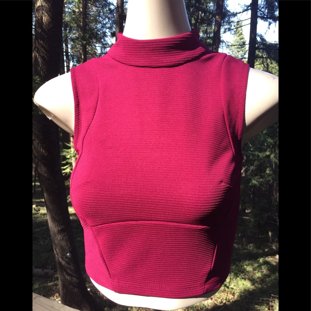 Bebe burgundy open back crop top